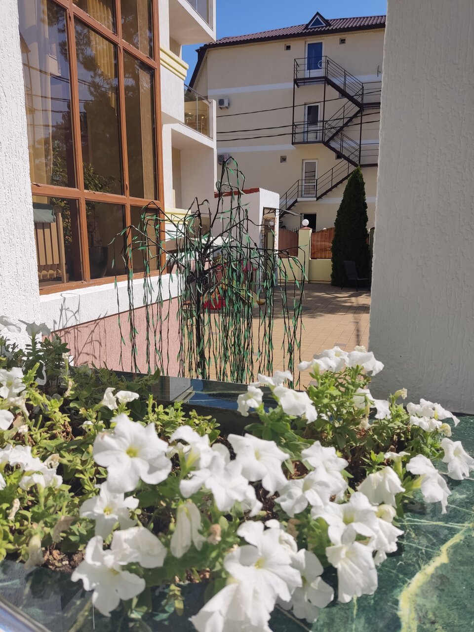 Гостиница Ива Дивноморское