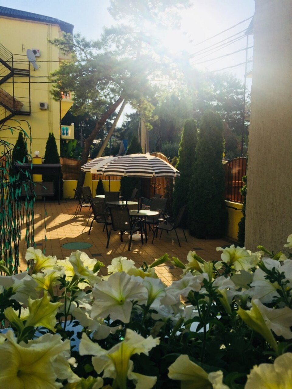 Гостиница Ива Дивноморское