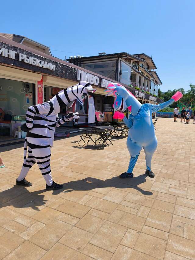 Гостиница Ива Дивноморское-29